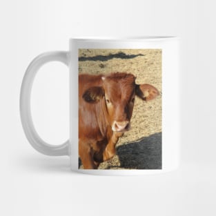 Bucky The Bull Mug